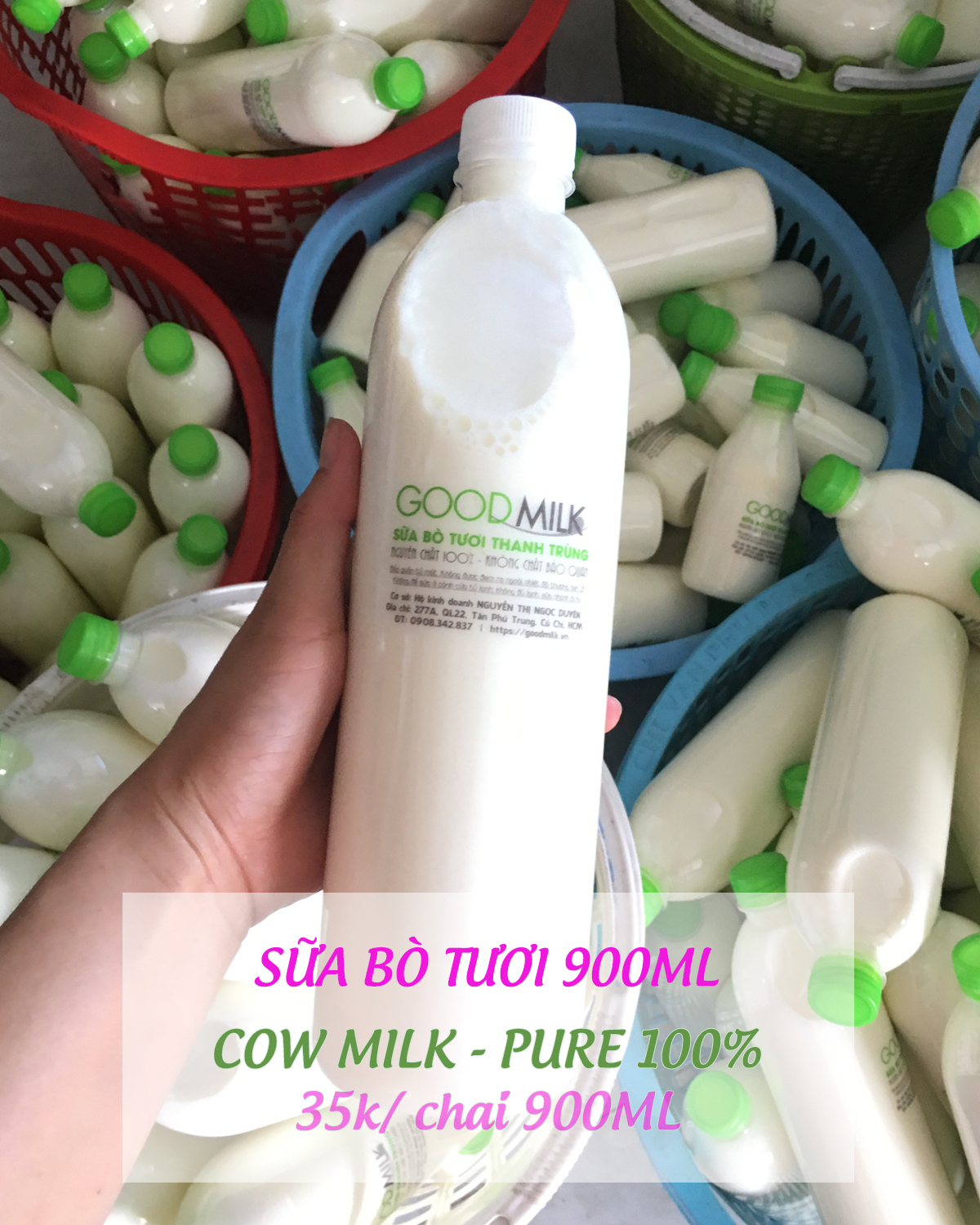 Sữa bò tươi thanh trùng 900ml – có đường