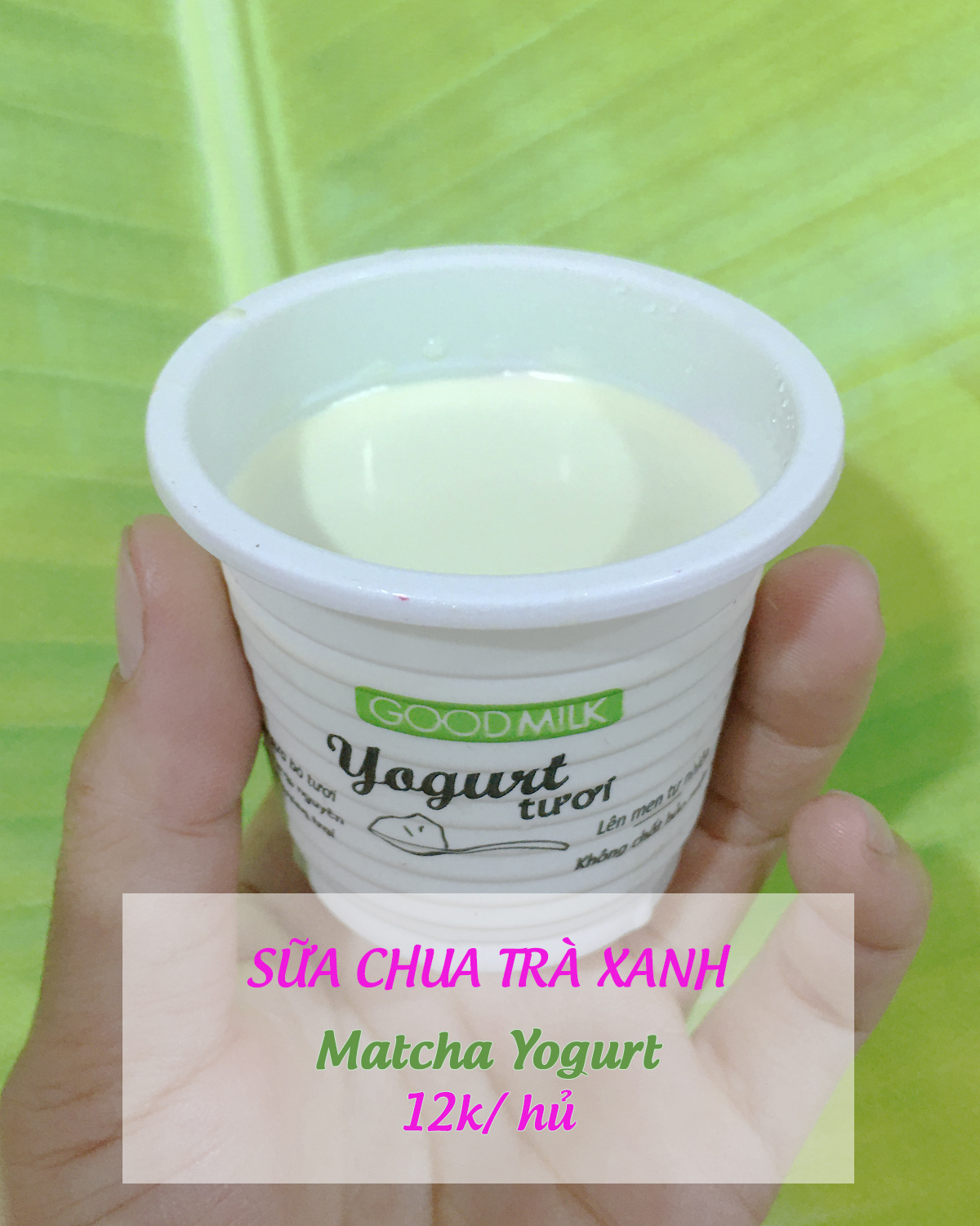 Matcha yogurt