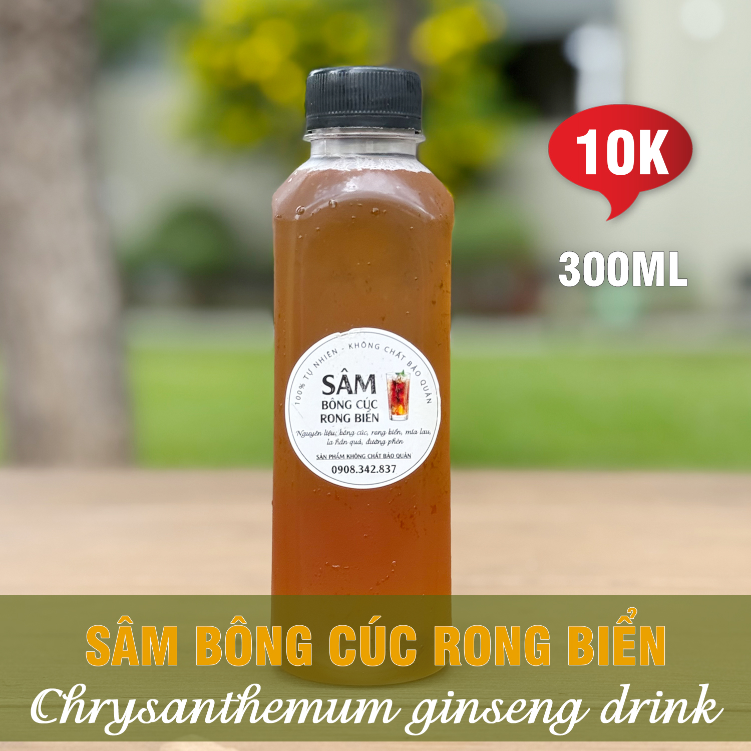 Sâm bông cúc rong biển