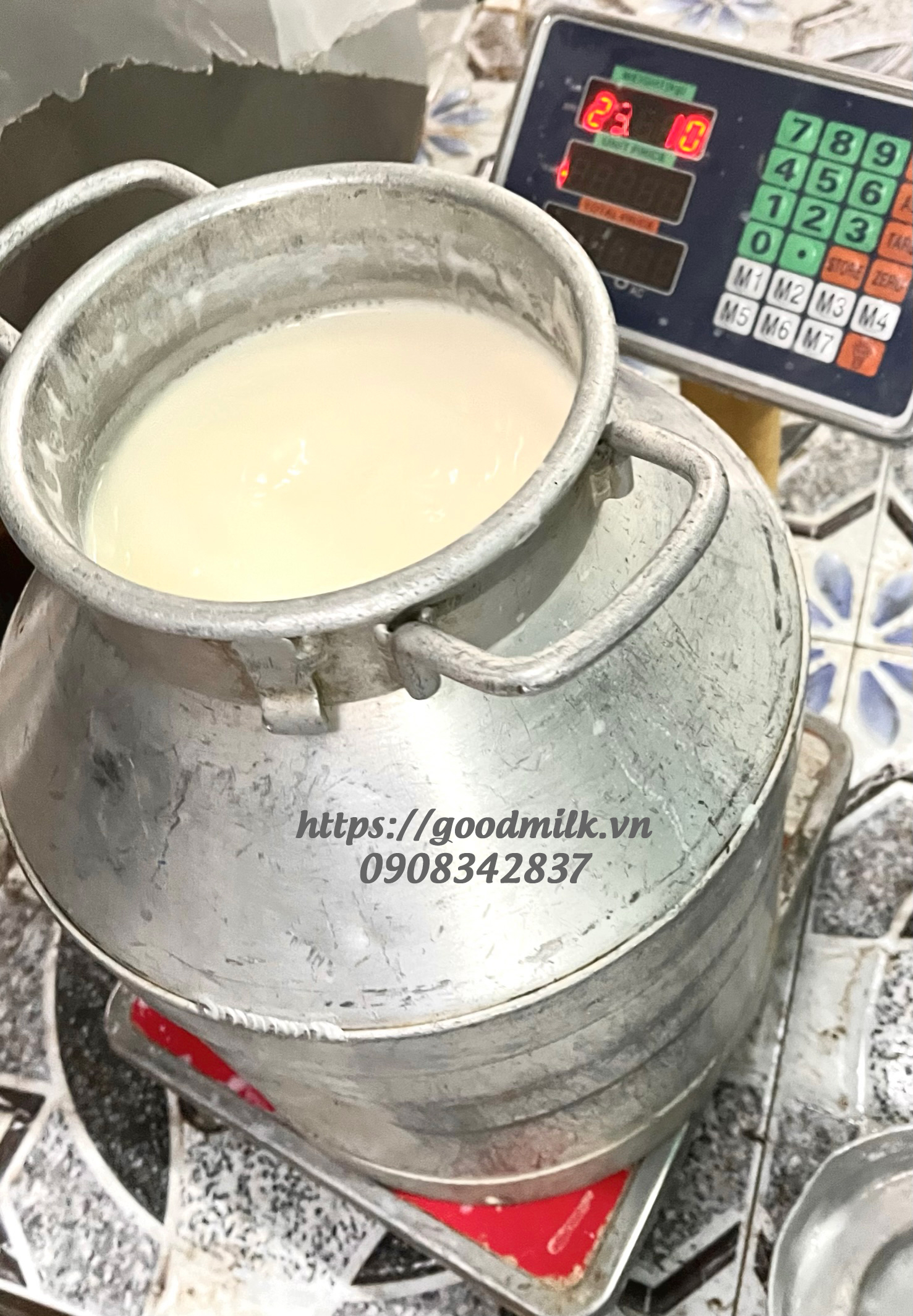 Sữa thô - sữa mới vắt (unpasteurized cow milk)